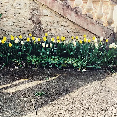 Petit Chateau Le Piot 3* Fleurance