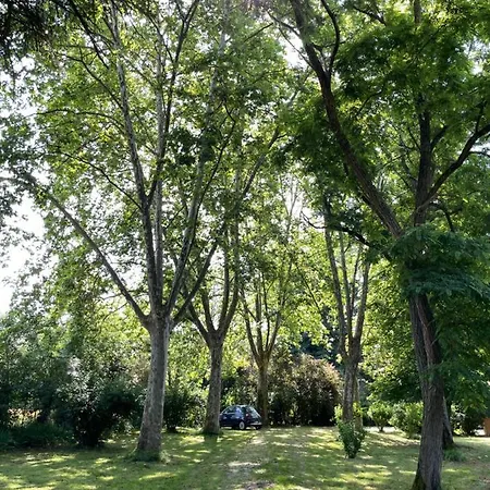 Nocleg ze śniadaniem Petit Chateau Le Piot 3*