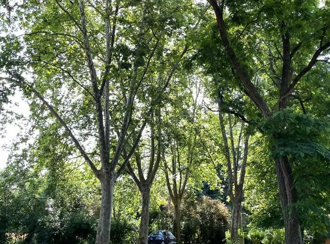 Frühstückspension Petit Chateau Le Piot 3*