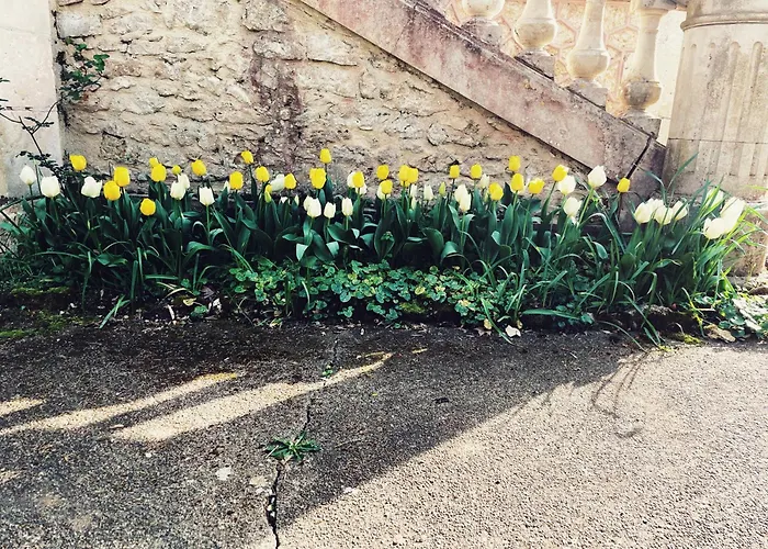 Petit Chateau Le Piot 3* Fleurance